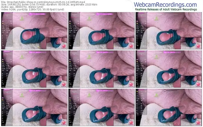 2025/01/14/stripchat-controlmytoys-18-55-45