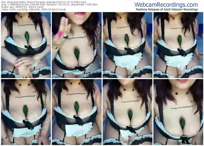 2025/01/15/stripchat-farawla_elgmda-11-25-50