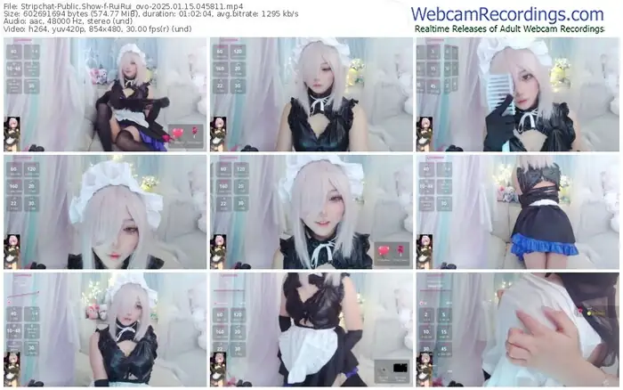 2025/01/15/stripchat-ruirui_ovo-04-58-11