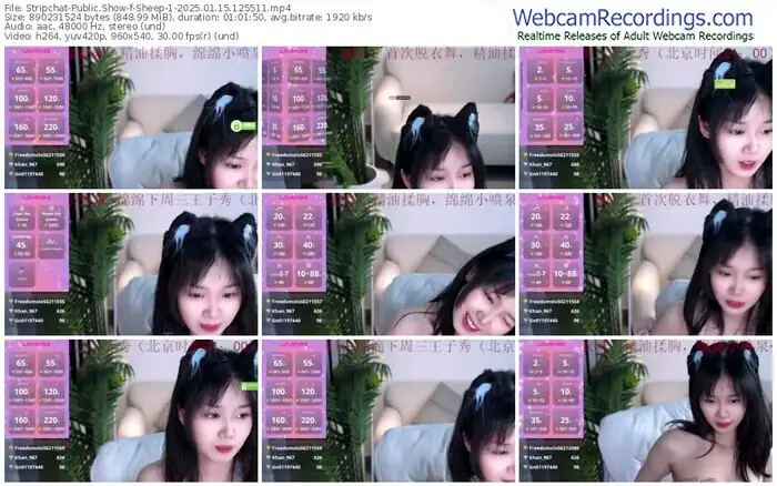 2025/01/15/stripchat-sheep-1-12-55-11