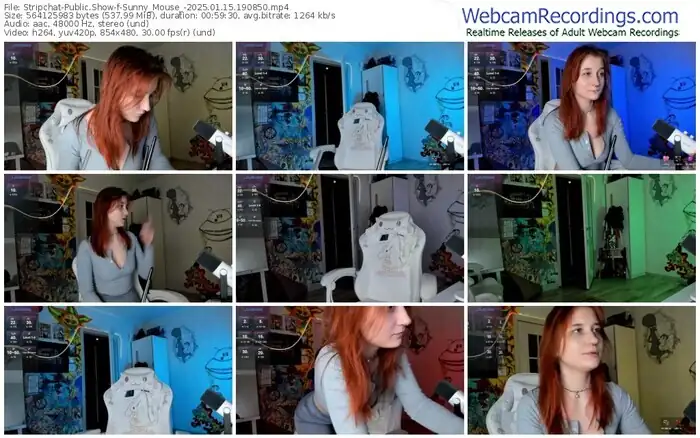 2025/01/15/stripchat-sunny_mouse_-19-08-50
