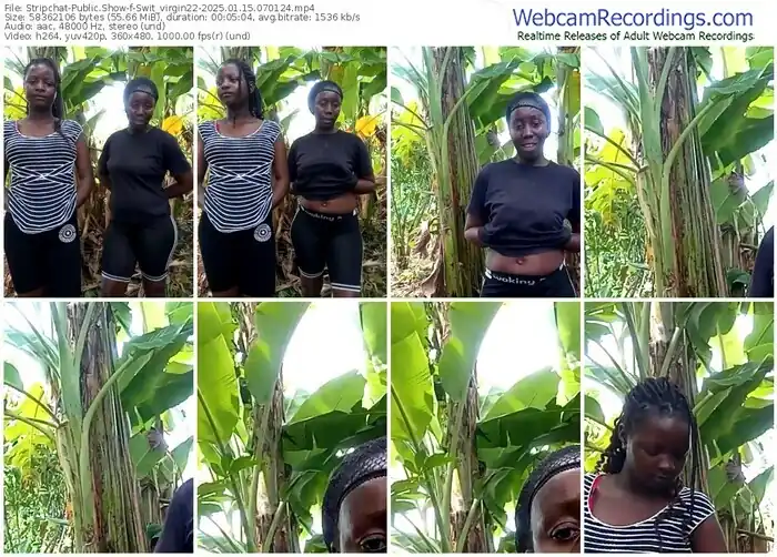 2025/01/15/stripchat-swit_virgin22-07-01-24