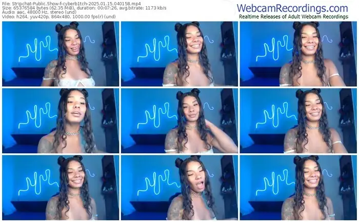 2025/01/15/stripchat-cyberb1tch-04-01-58