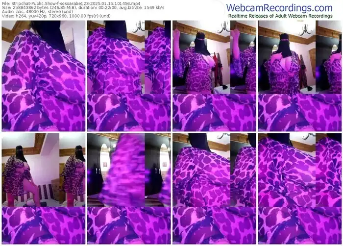2025/01/15/stripchat-sosoarabe123-10-14-56
