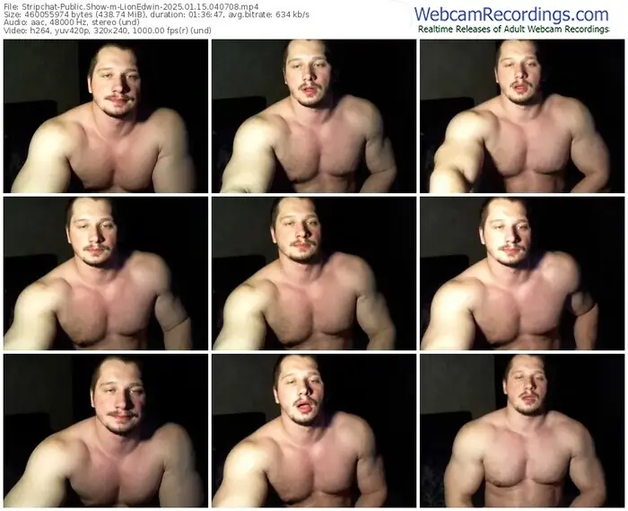 2025/01/15/stripchat-lionedwin-04-07-08