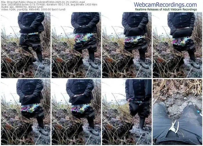 2025/01/15/stripchat-odinwolf1990-13-45-11