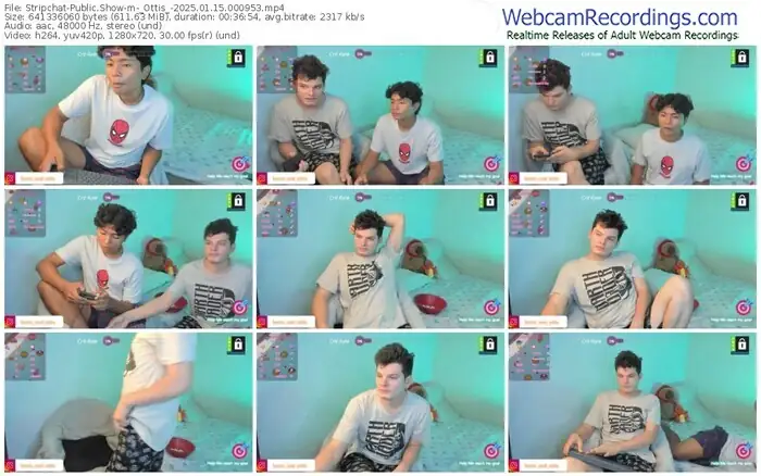 2025/01/15/stripchat-_ottis_-00-09-53