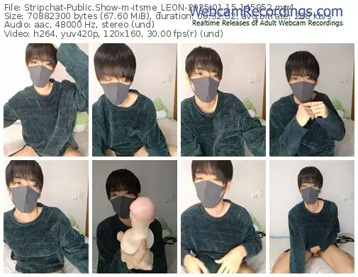 2025/01/15/stripchat-itsme_leon-14-59-52