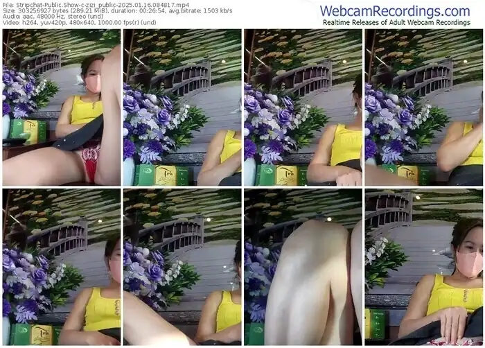 2025/01/16/stripchat-zizi_public-08-48-17