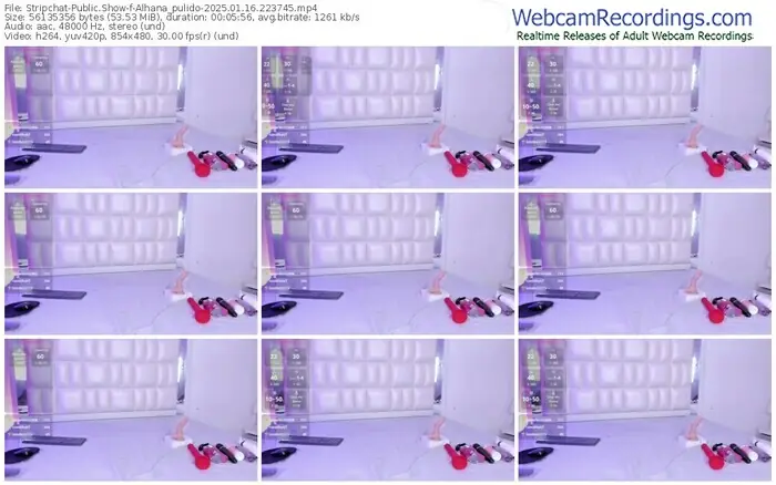 2025/01/16/stripchat-alhana_pulido-22-37-45