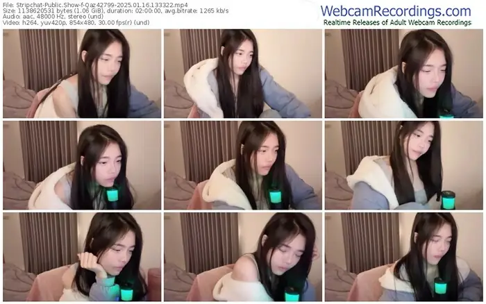 2025/01/16/stripchat-qaz42799-13-33-22
