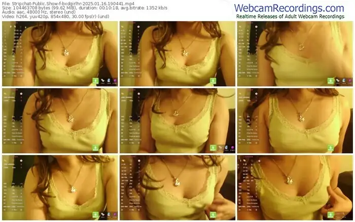 2025/01/16/stripchat-bxdgirlhr-19-04-41