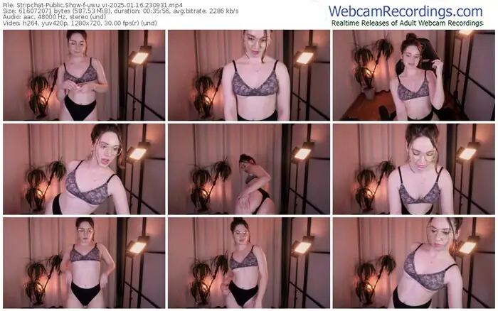 2025/01/16/stripchat-uwu_vi-23-09-31