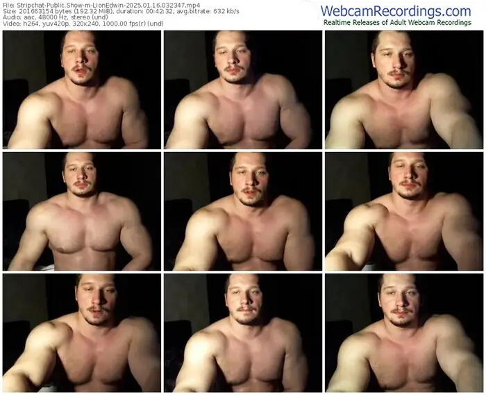 2025/01/16/stripchat-lionedwin-03-23-47