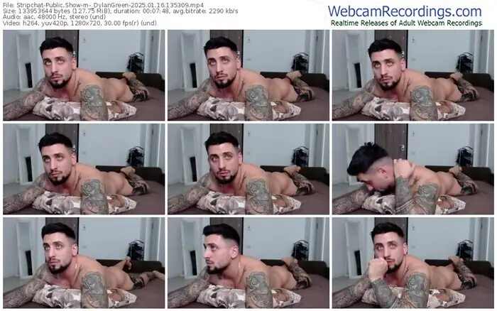 2025/01/16/stripchat-_dylangreen-13-53-09