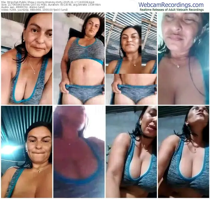 2025/01/17/stripchat-horny-mommy-dirty-16-33-28