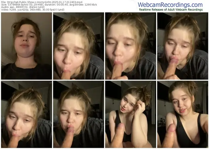 2025/01/17/stripchat-hornygirlh-01-24-03