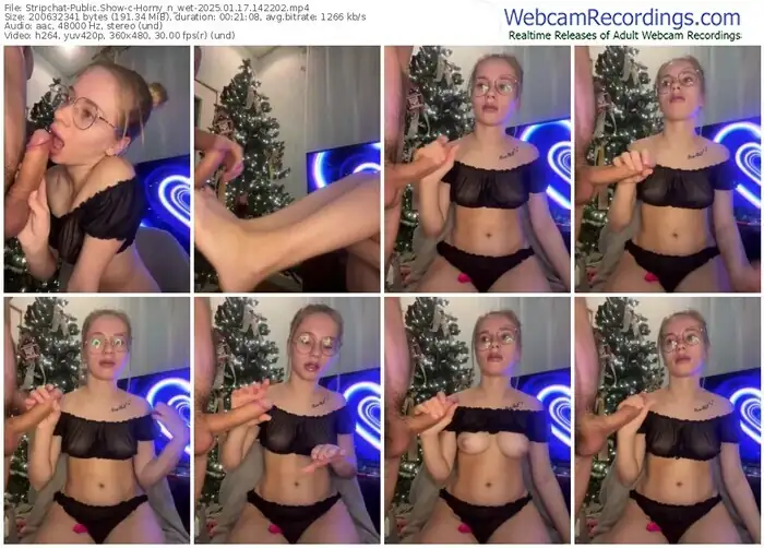 2025/01/17/stripchat-horny_n_wet-14-22-02