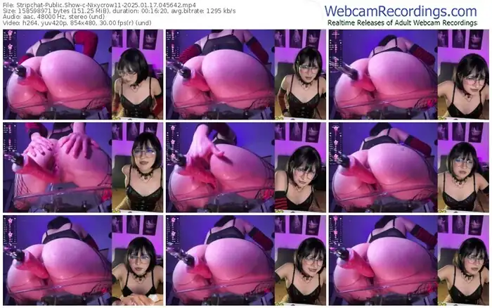 2025/01/17/stripchat-nixycrow11-04-56-42