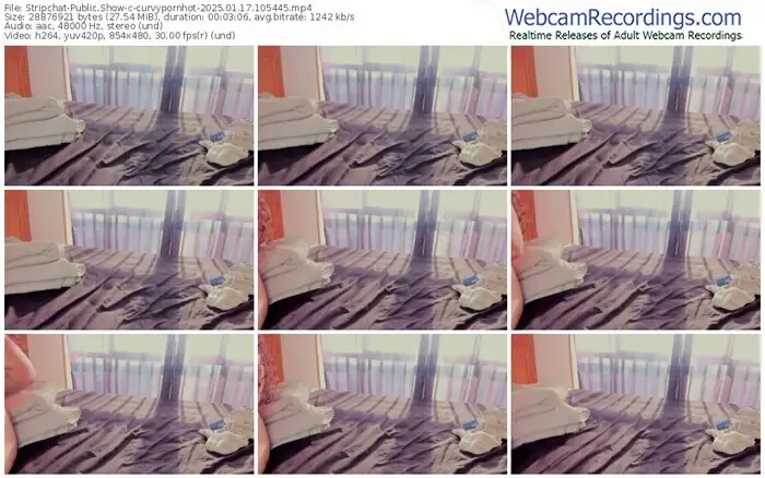 2025/01/17/stripchat-curvypornhot-10-54-45