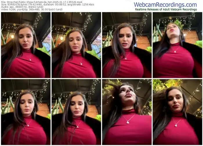 2025/01/17/stripchat-artemida_hot-13-55-29