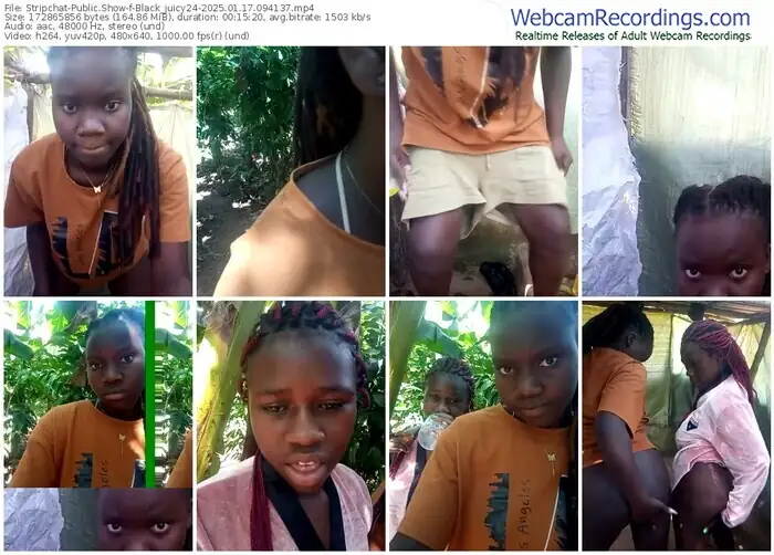 2025/01/17/stripchat-black_juicy24-09-41-37