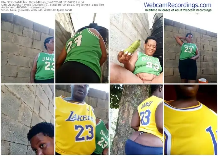 2025/01/17/stripchat-broan_me-06-25-11