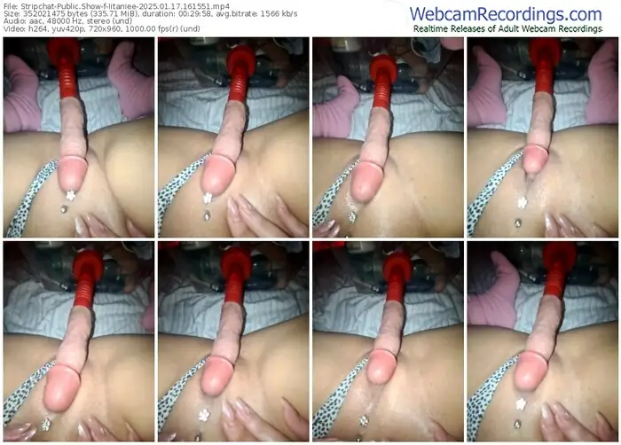 2025/01/17/stripchat-iitaniee-16-15-51