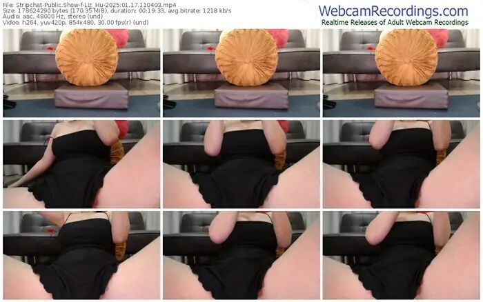 2025/01/17/stripchat-liz_hu-11-04-03