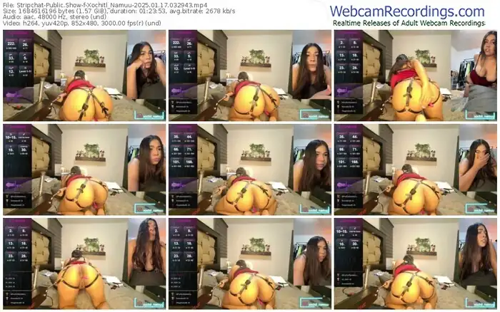 2025/01/17/stripchat-xochitl_namuu-03-29-43