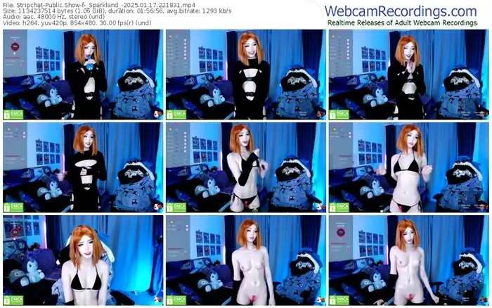 2025/01/17/stripchat-_sparkland_-22-18-31