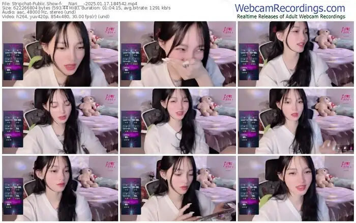 2025/01/17/stripchat-___nari___-18-45-42