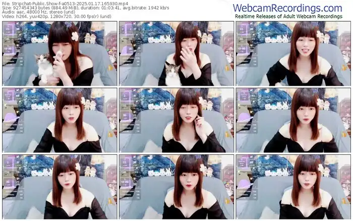 2025/01/17/stripchat-a0513-16-59-30