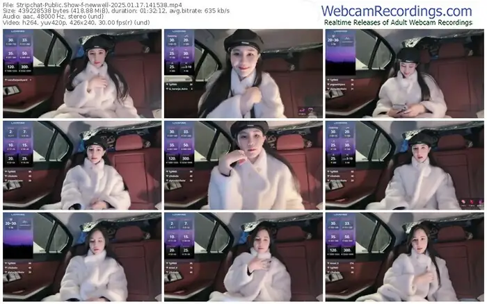 2025/01/17/stripchat-newwell-14-15-38