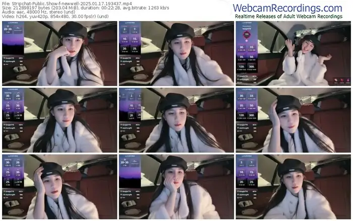 2025/01/17/stripchat-newwell-19-34-37