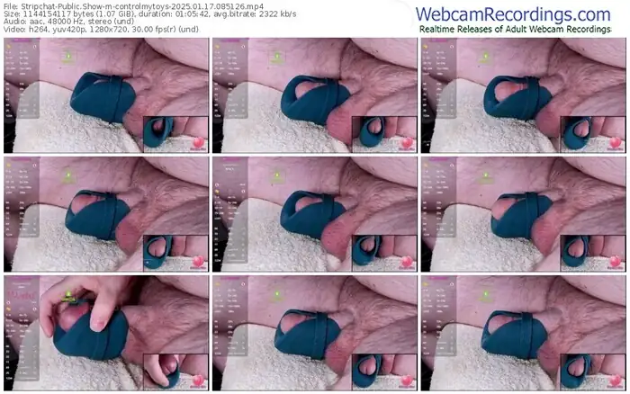 2025/01/17/stripchat-controlmytoys-08-51-26