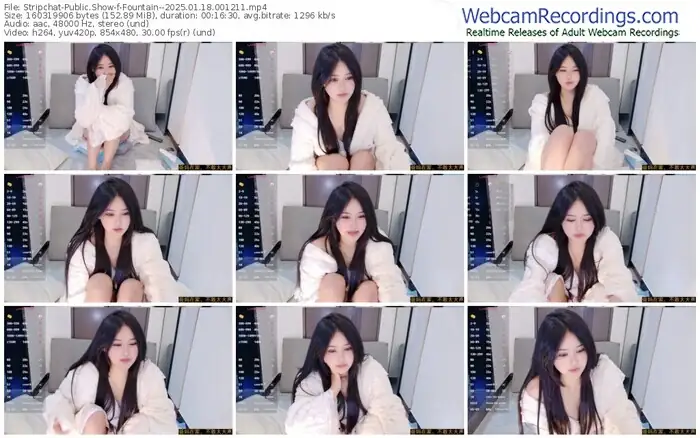 2025/01/18/stripchat-fountain--00-12-11