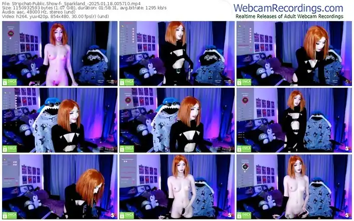 2025/01/18/stripchat-_sparkland_-00-57-10