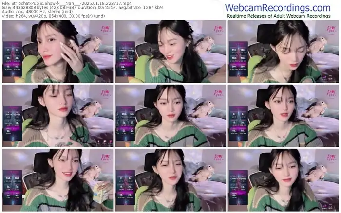 2025/01/18/stripchat-___nari___-22-37-17