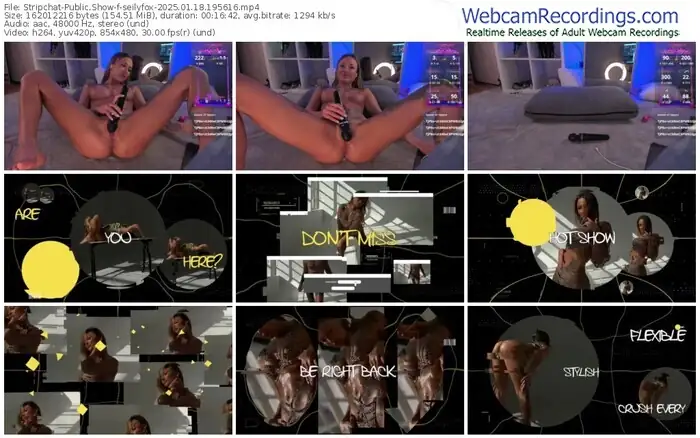 2025/01/18/stripchat-seilyfox-19-56-16
