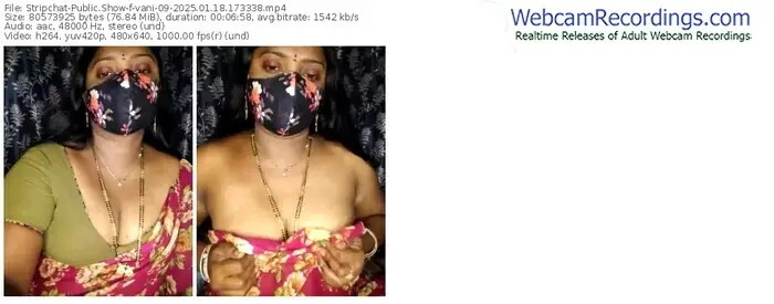 2025/01/18/stripchat-vani-09-17-33-38
