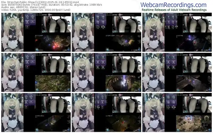 2025/01/18/stripchat-z23002-14-55-32