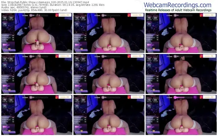 2025/01/19/stripchat-nemesis_020-13-09-47