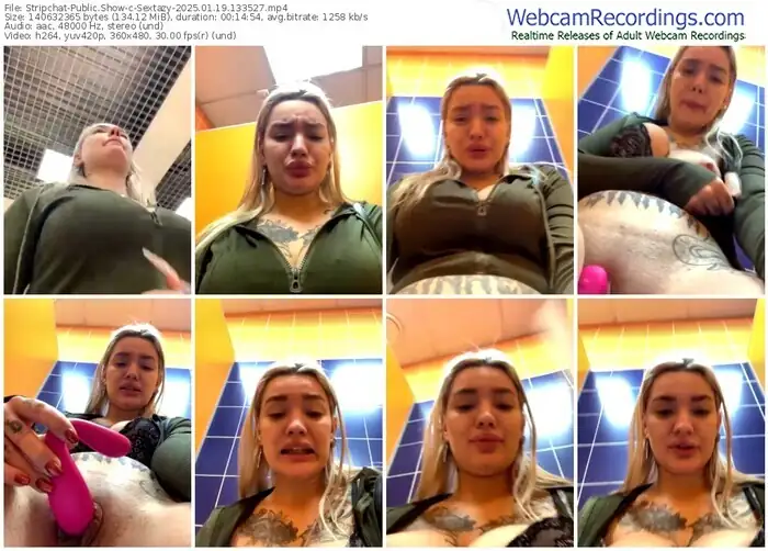 2025/01/19/stripchat-sextazy-13-35-27