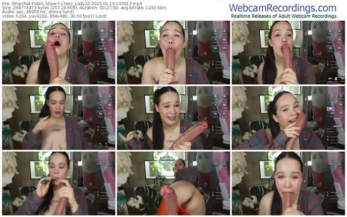 2025/01/19/stripchat-chery_lady22-10-09-13