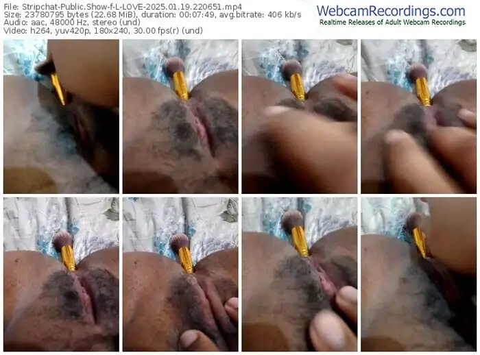 2025/01/19/stripchat-l-love-22-06-51