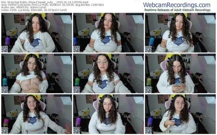 2025/01/19/stripchat-sweet_sully__-12-00-59