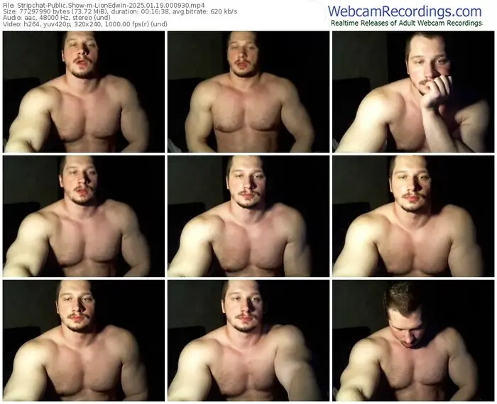 2025/01/19/stripchat-lionedwin-00-09-30