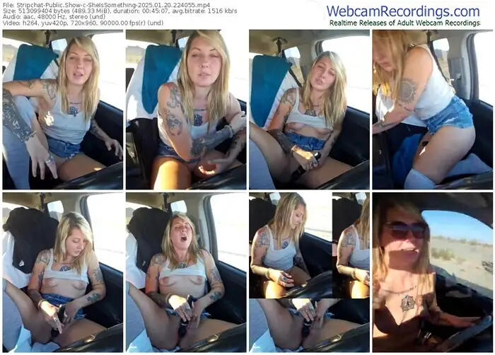 2025/01/20/stripchat-sheissomething-22-40-55