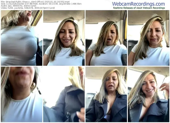 2025/01/20/stripchat-_abril-office1-16-15-52
